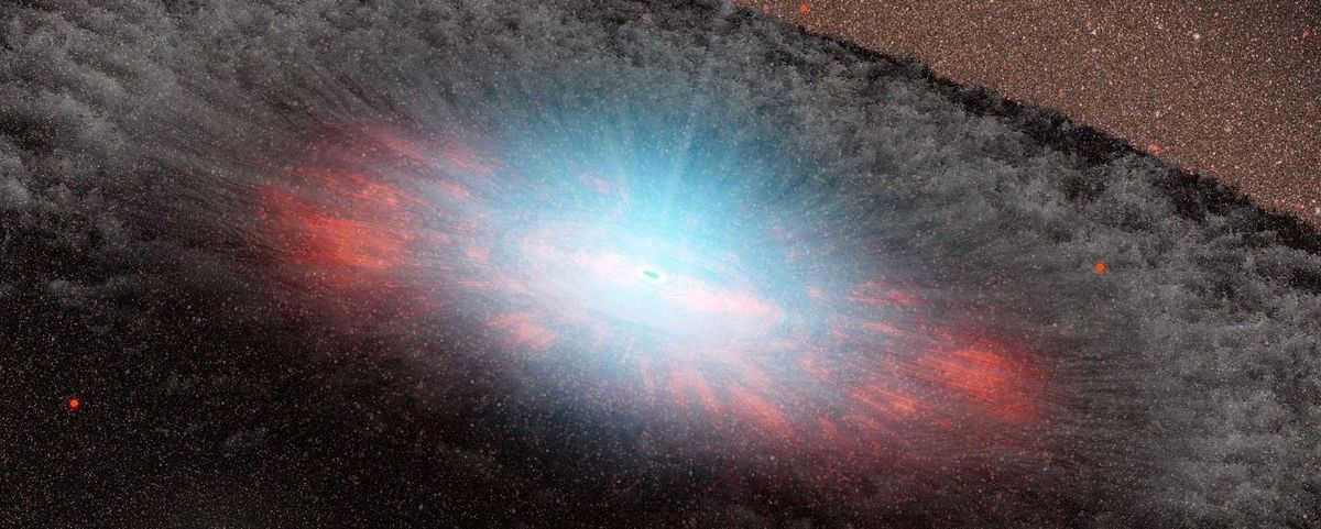 Black hole singularity: structure, scientific data, recent research