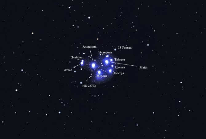 Pleiades cluster stars