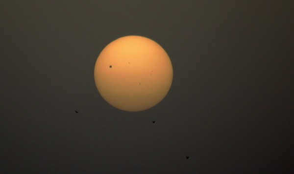 Transit of Venus through the Sun. Remember that for this observation it is necessary to use special solar filters.