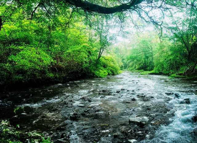 Astronomy - the most ancient of sciences message message report