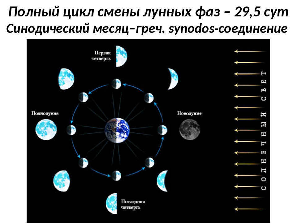 Phases of the Moon