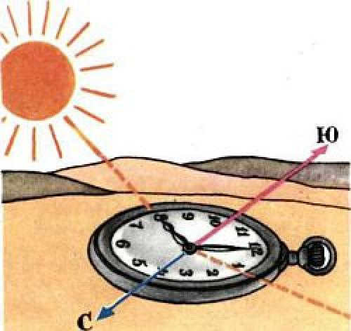 How to determine geographic latitude by Polaris. Orientation by clock, sun and stars, determining geographic longitude and latitude field conditions.