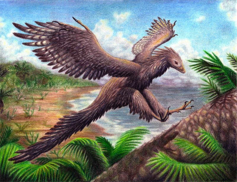 Interesting fact: Archaeopteryxes, which are a hybrid of reptiles and birds, lived at that time.