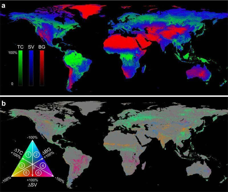 Interesting fact: In 2018, Nature published an article where, for the first time, changes in forest area were calculated on the basis of satellite images for decades at a time, rather than for years, as previously. 
