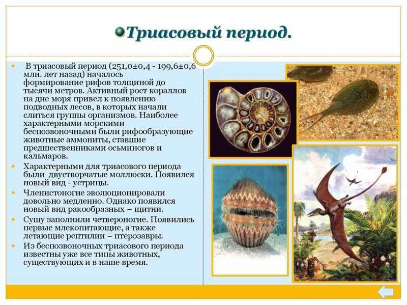 Climate at the time of the dinosaurs and a little later