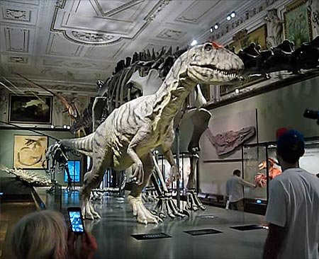 Epochs in Earth History: Allosaurus