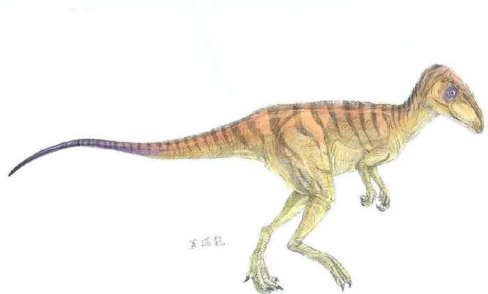 Herrerosaurus