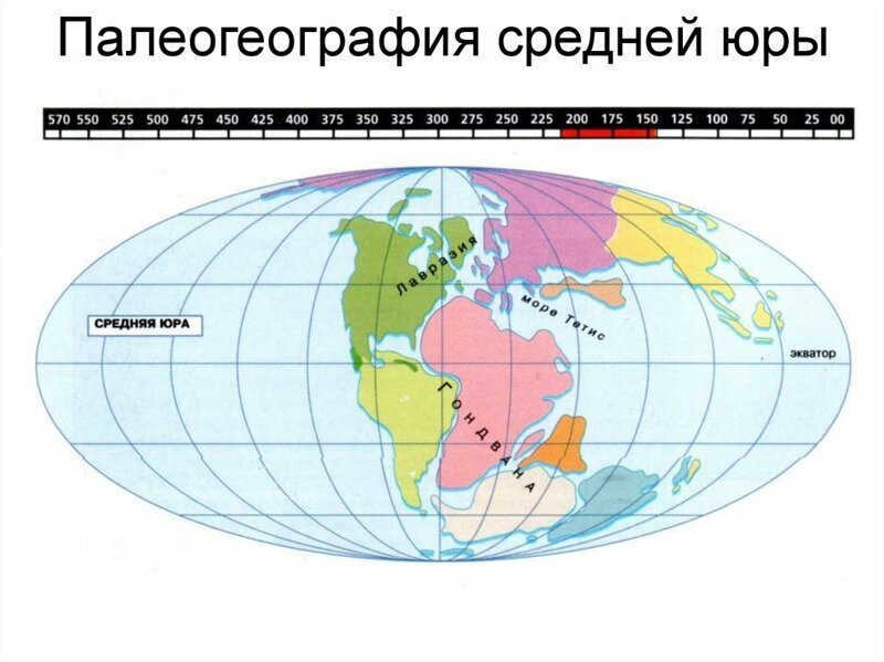 Jurassic Period (201 to 145 million years ago)
