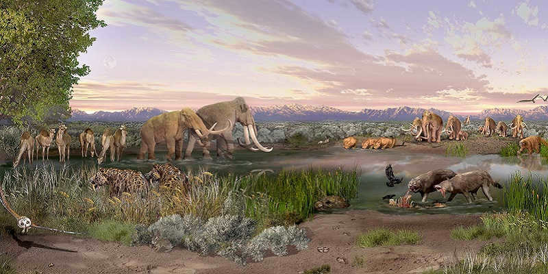 Cenozoic Era