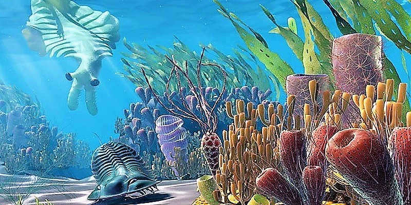 Cambrian period