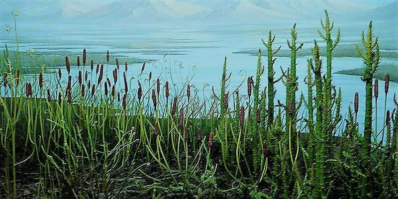 Silurian period