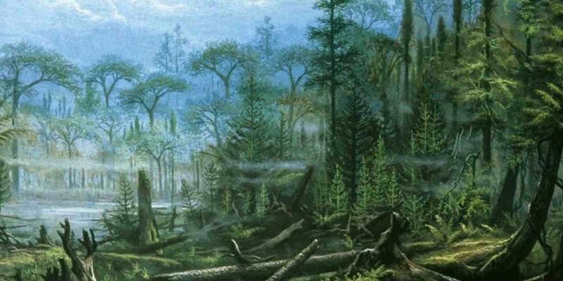 Carboniferous period forest