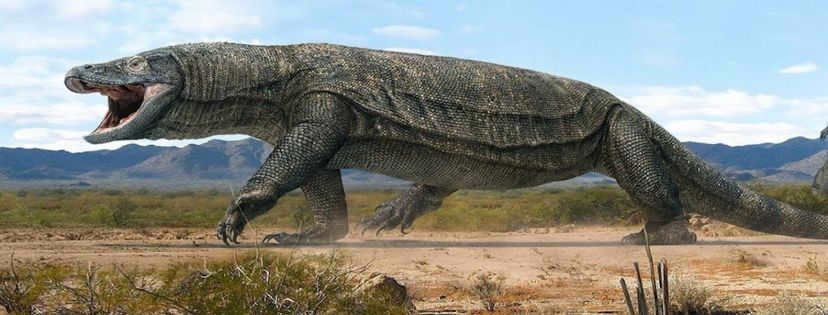 News & prioslav.ru: Earth a million years ago - Megalania were huge poisonous lizards that inhabited Australia a million years ago, could grow up to 7 meters in length.