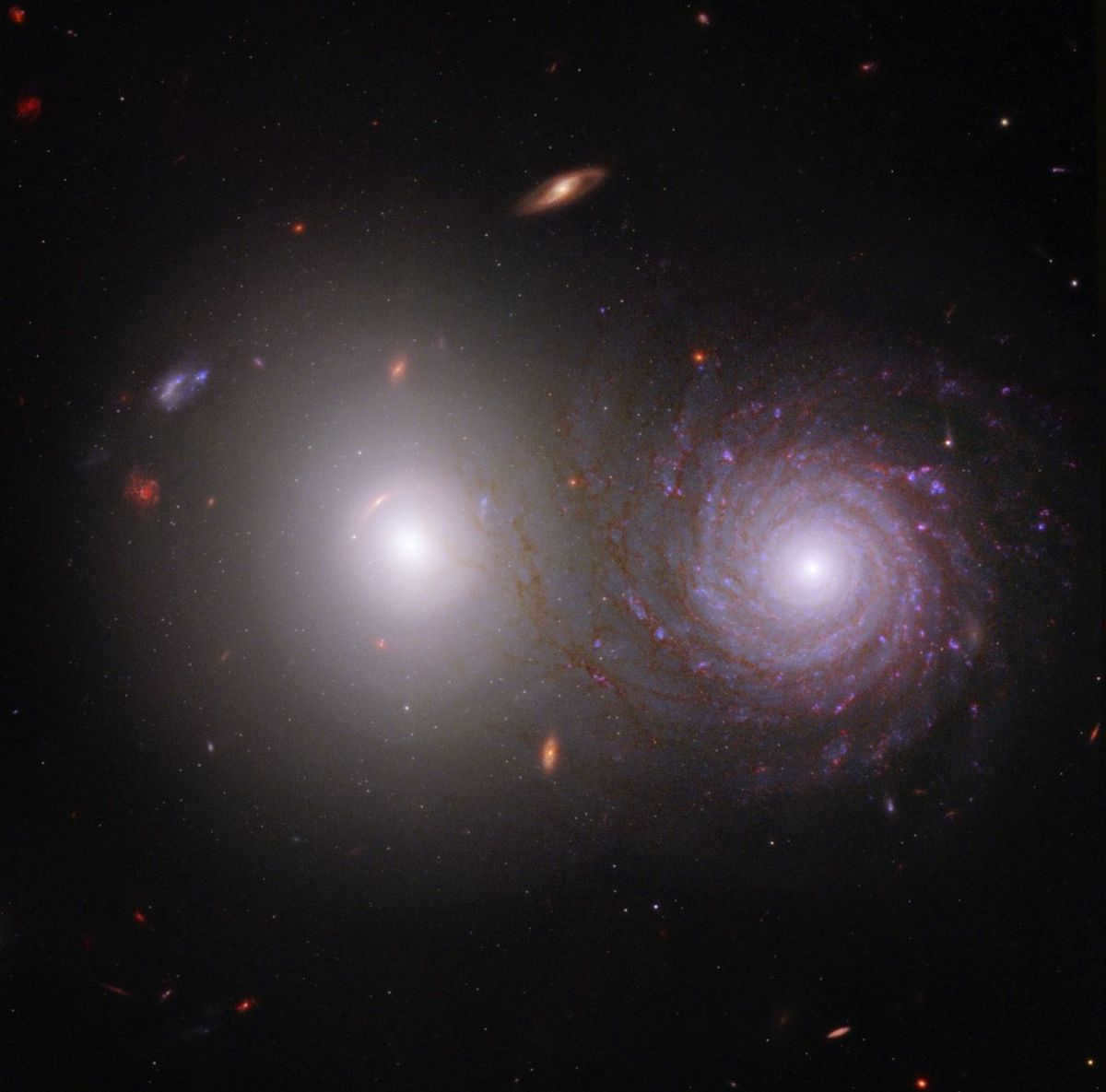 wp-image-1173881