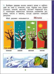 Science Diary Instructions for Grade 1. Tree observation
