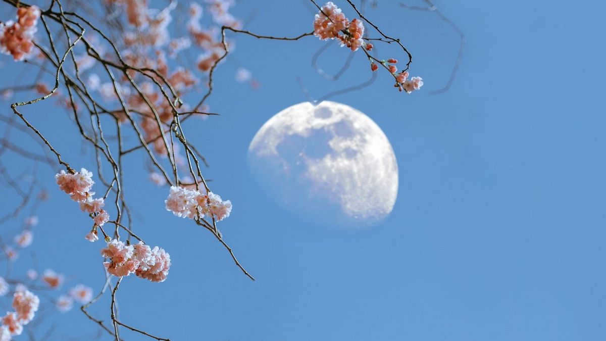 Daytime Moon