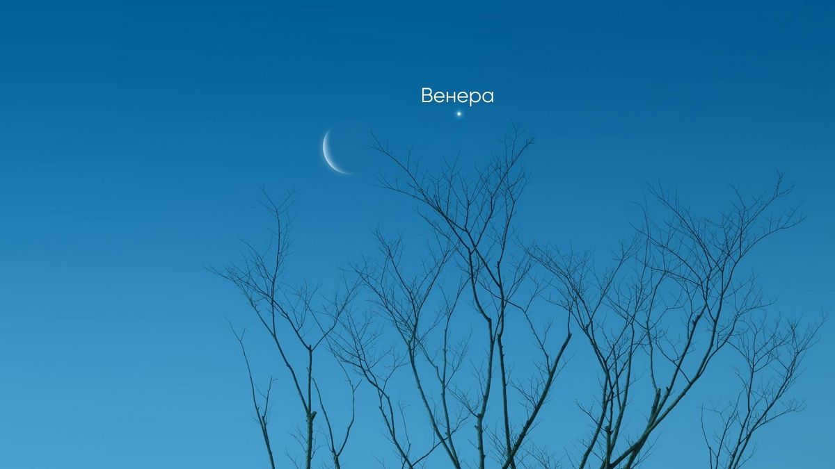 Daytime Venus
