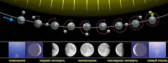 Phases of the Moon