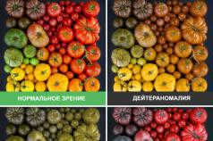 What does a color perception test involve and how is it conducted?