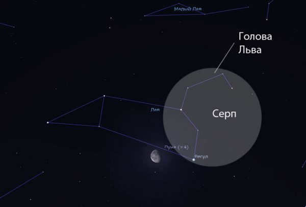 lion constellation