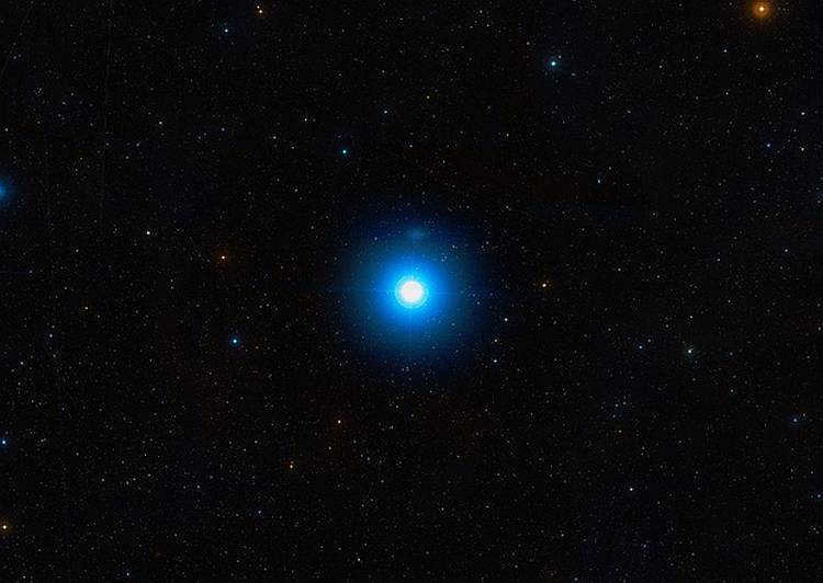 Regulus