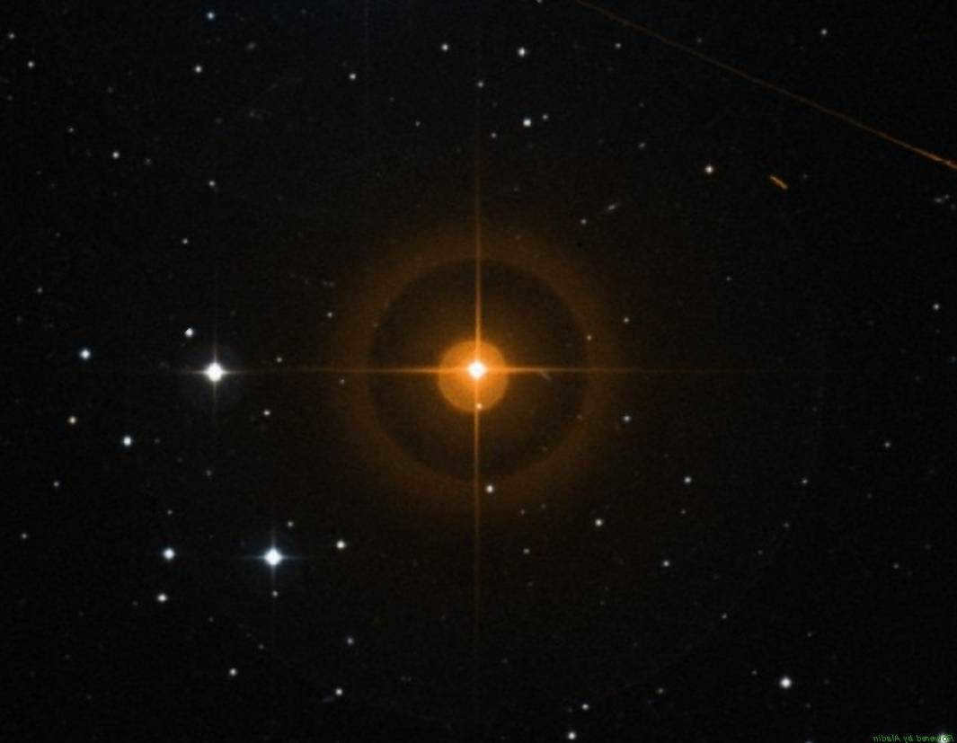 Variable R of Leo