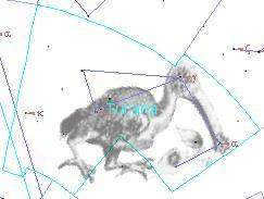 constellation Toucan