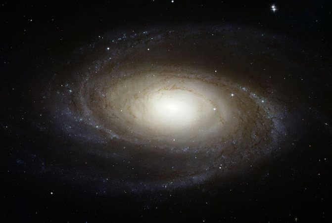 Bode Galaxy (M81)