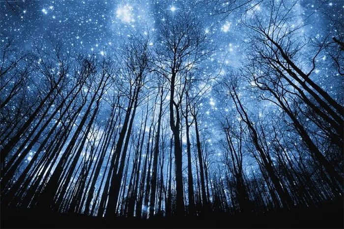 starfall
