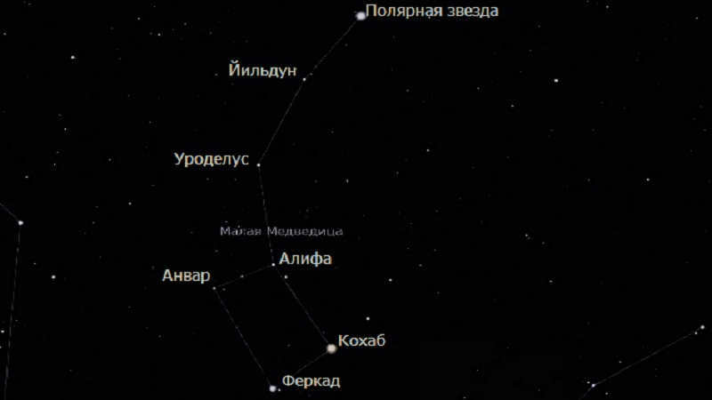 Stars of the Little Bear
