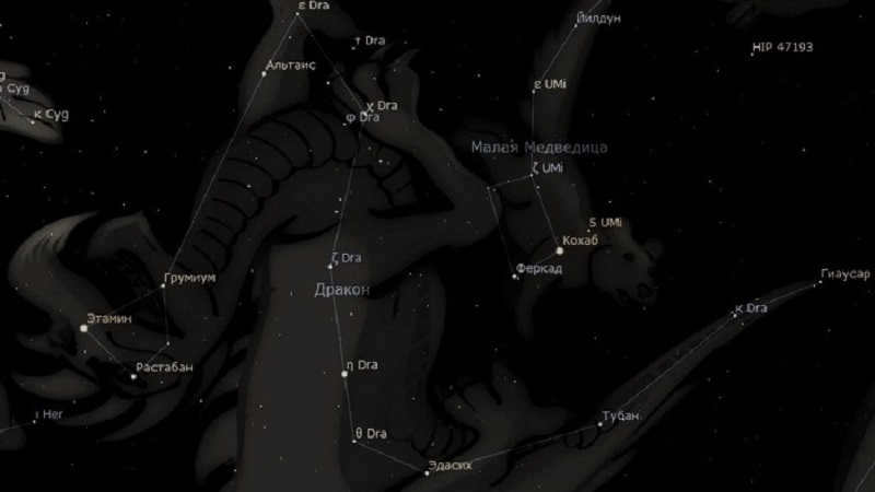 Dragon Stars