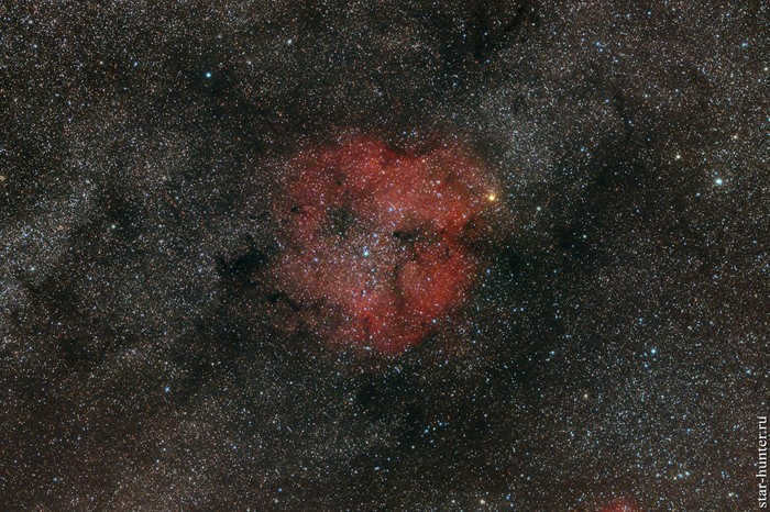 Nebula IC 1396 in the constellation Cepheus. September 4, 2019. Nebula, Astrophoto, Astronomy, Astronomy, Space, Starhunter, Abrau-durso
