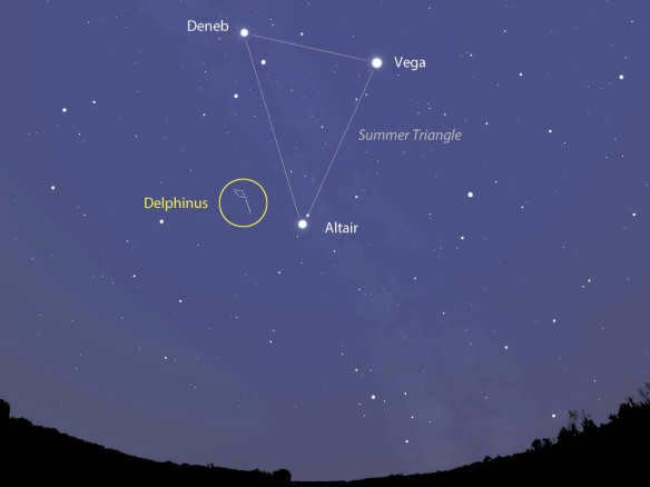  Dolphin constellation for children
