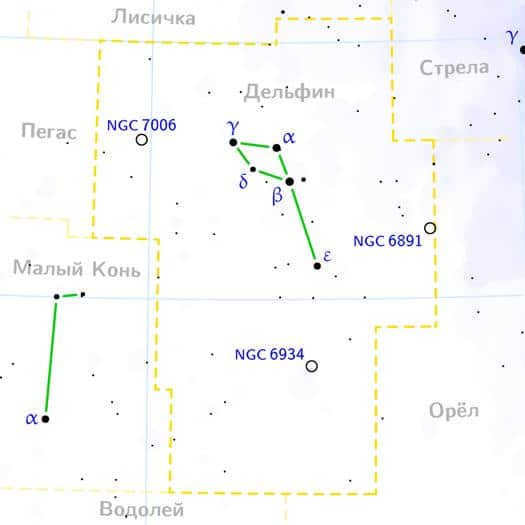 Constellation Dolphin