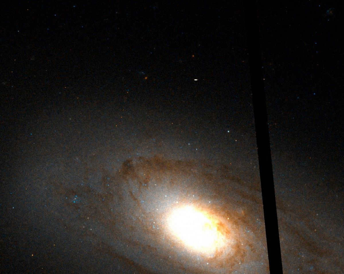 Virgo zodiacal constellation: location and astronomical objects