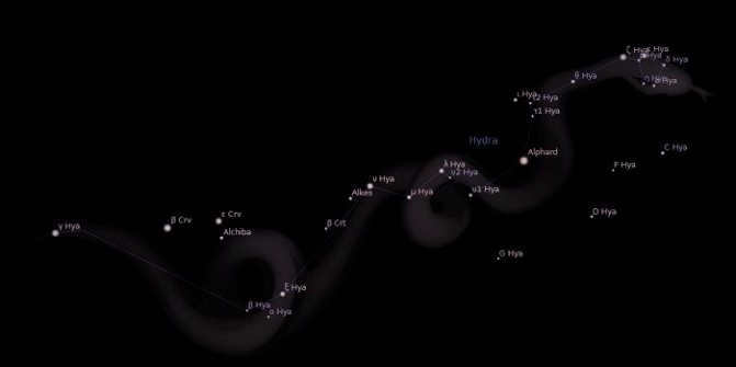 Hydra stars
