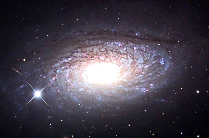The Sunflower Galaxy