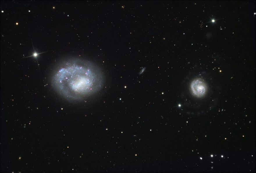 You see two neighboring galaxies, NGC 4625 (top) and NGC 4618 (bottom). They are surrounded by cocoons of hydrogen gas (purple). The arms of NGC 4625 are marked in blue and extend to a distance 4 times the size of the galaxy's nucleus. The disk is very active in star formation, so it may become a more massive galaxy.