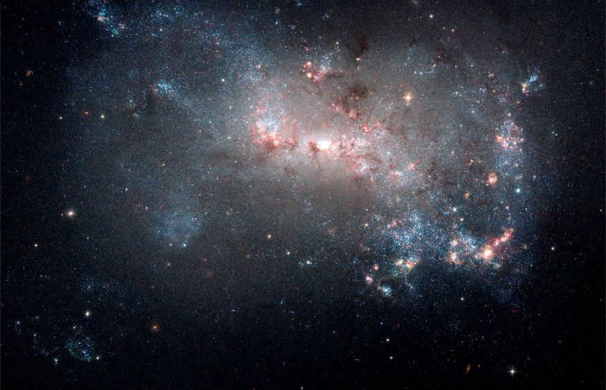 NGC 4449 has been forming stars for several billion years, but this rate has now increased. Outbursts usually occur in the central regions, but NGC 4449 has a wider star formation activity, as the youngest stars are observed in the core and in the surrounding streams. It resembles primary star-forming galaxies.