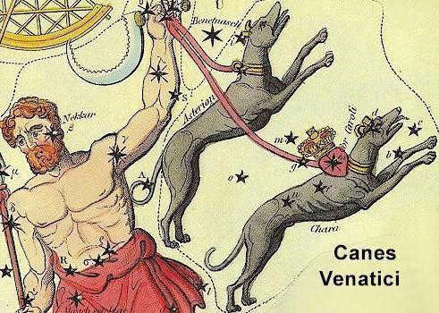 hound dogs constellation