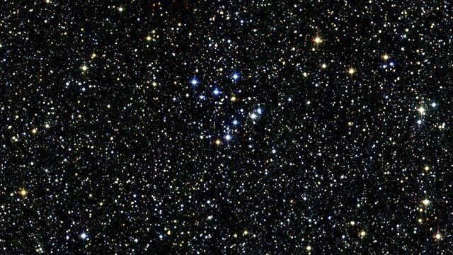 hound dogs constellation photo