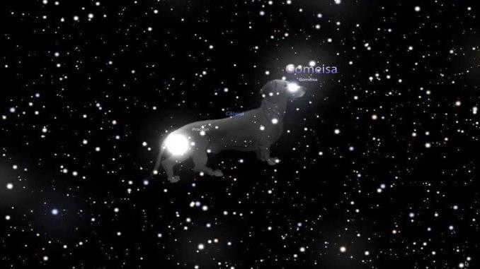 Hound Dogs constellation at what time of the year is best to observe it