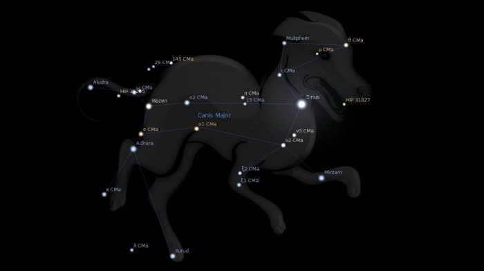 hound dogs constellation where is