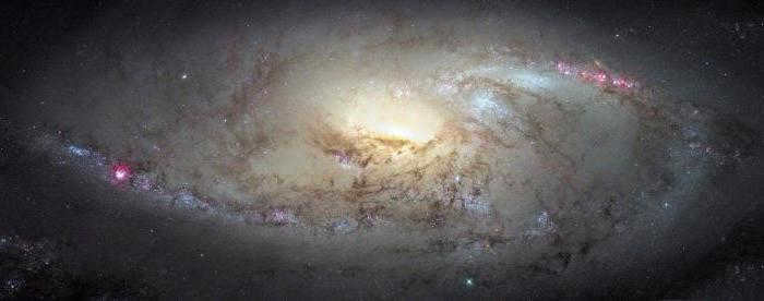 Hound Dogs constellation history