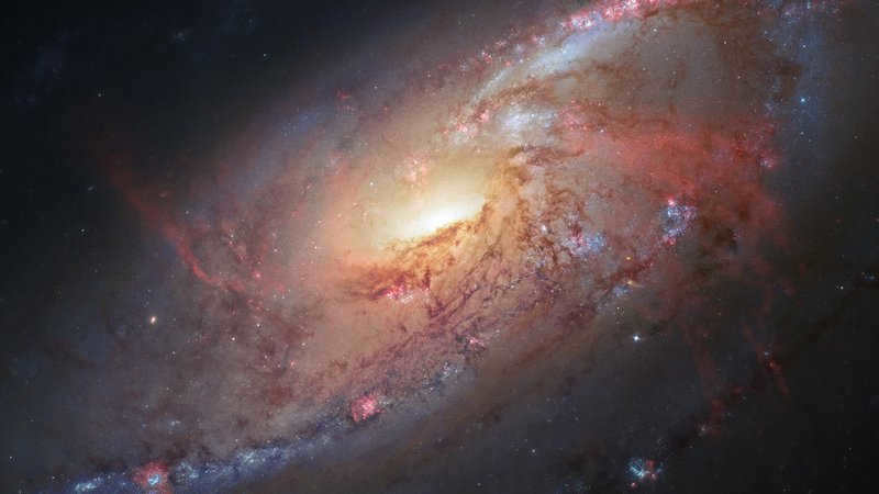 Galaxy M106