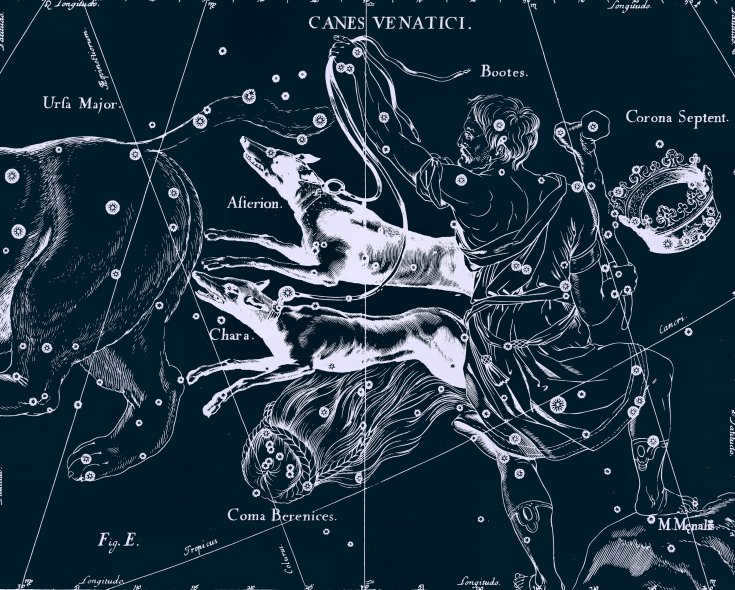 Constellation Hound Dogs, drawing by Jan Hevelius from his atlas of constellations