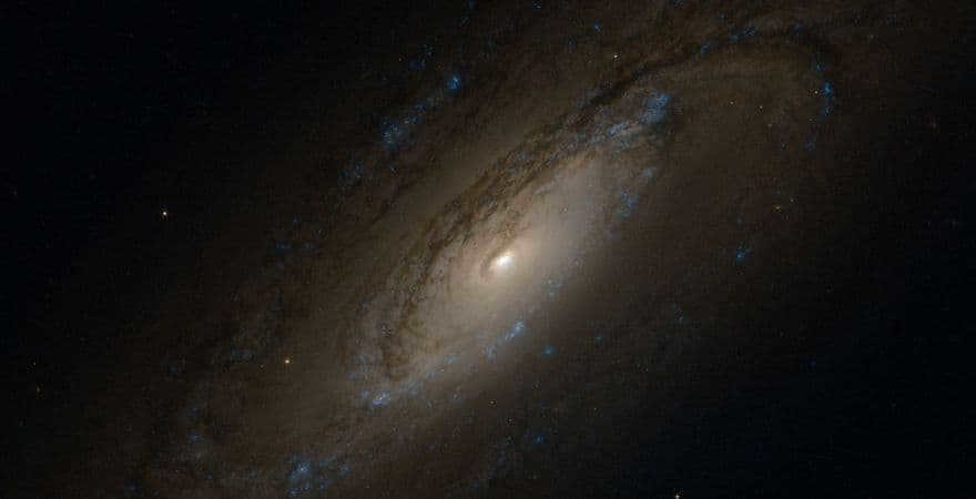 NGC 5005