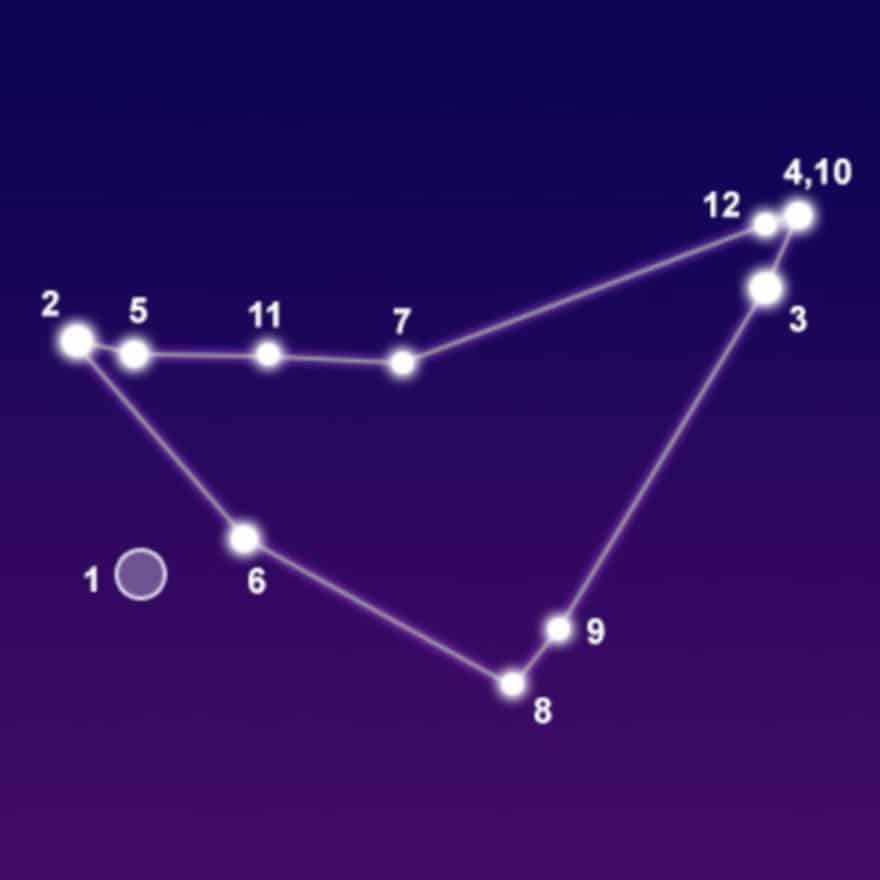 Constellation Capricorn