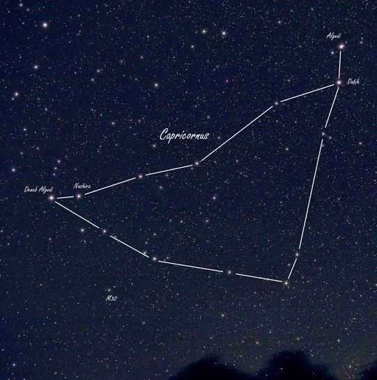Capricorn constellation: composition, features, description