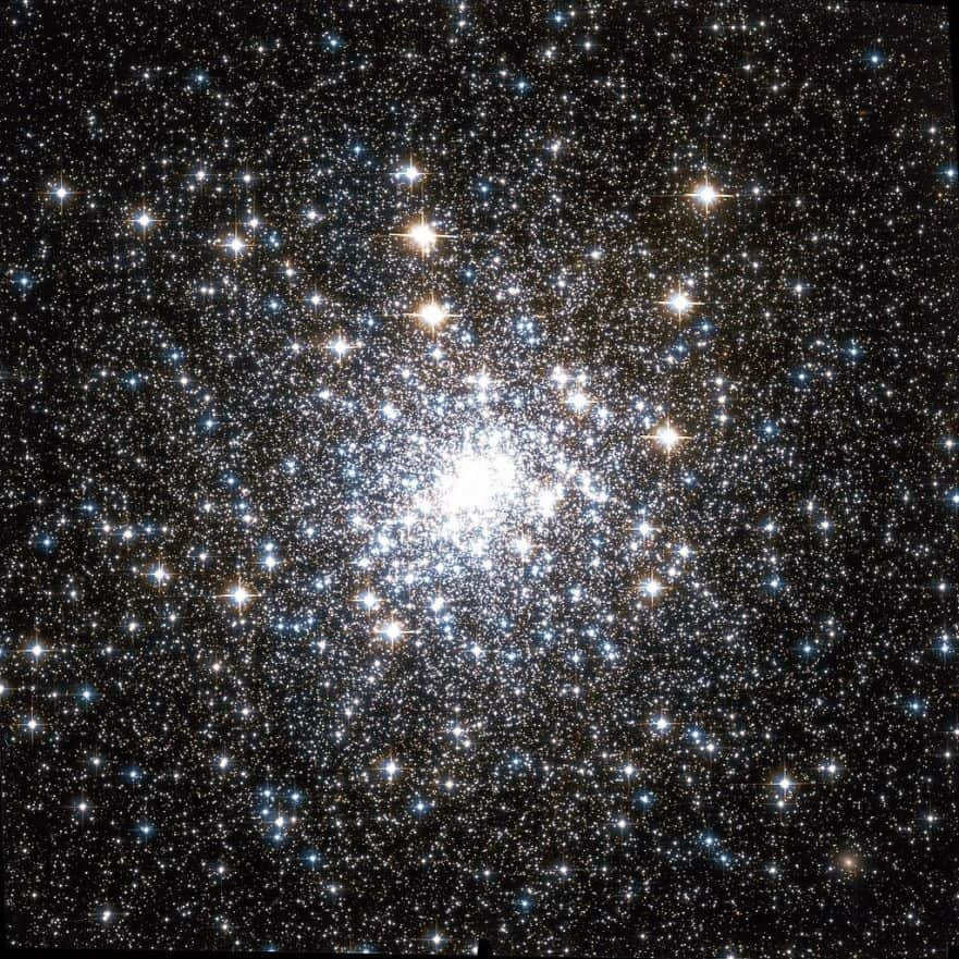 Capricorn constellation: composition, features, description